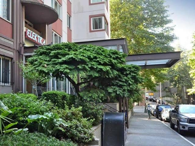 Vila Vibrant Downtown, King Bed, Work Desk & Kitchen Seattle Exteriér fotografie
